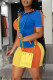 Orange Fashion Casual Patchwork Basic Zipper Collar Short Sleeve Two Pieces