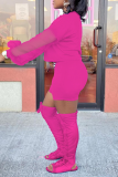 Rose Red Street Solid Mesh O Neck Long Sleeve Two Pieces