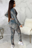 Blue and gray Polyester Sexy Two Piece Suits Print Patchwork Zippered Skinny Long Sleeve