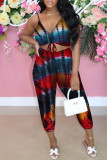 Colour Sexy Casual Print Backless V Neck Sleeveless Two Pieces