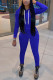 Royal blue Polyester Fashion Sexy adult Ma'am Patchwork Solid Two Piece Suits Straight Long Sleeve Two Pieces