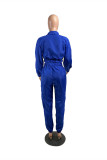 Blue Fashion Casual Solid Basic Turndown Collar Long Sleeve Two Pieces
