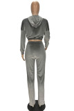 Grey Casual Polyester Flocking Solid Pants Zipper Collar Long Sleeve Regular Sleeve Short Two Pieces