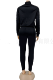 Black Casual Leopard Patchwork Turtleneck Long Sleeve Two Pieces