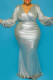 Silver Sexy Solid V Neck Evening Dress Dresses