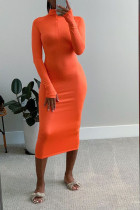 tangerine Casual Long Sleeves half high collar Pencil Dress Mid-Calf Print Solid Dresses