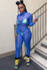 Blue Fashion street Patchwork Solid Polyester Long Sleeve Turtleneck Jumpsuits