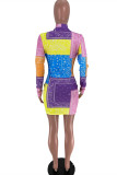 Multicolor Fashion Casual Print Basic Zipper Collar Long Sleeve Dresses