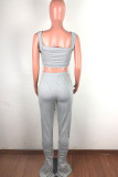 Grey Acrylic Fashion Celebrities Solid Draped Two Piece Suits pencil Sleeveless Two Pieces
