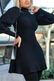 Black Fashion Casual Solid Basic Turtleneck Long Sleeve Dress