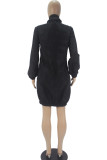 Black Fashion Casual Adult Polyester Solid Split Joint Turtleneck Long Sleeve Mini A Line Dresses