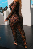 Black Fashion Sexy Solid See-through V Neck Long Sleeve Dresses