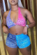 Peacock Blue Sportswear Print Patchwork Swimwears
