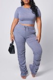 Dark Gray Polyester Fashion Sexy adult Ma'am O Neck Solid Draped Two Piece Suits Draped Plus Size
