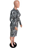Black England Long Sleeves O neck Pencil Dress Mid-Calf Print zebra Dresses