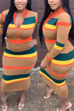 Khaki Fashion Casual Striped Print Basic Zipper Collar Long Sleeve Dress