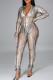 Silver Solid Ripped Hollowed Out See-through O Neck Regular Jumpsuits