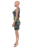 Green Fashion Sexy Print See-through O Neck Sleeveless Dress