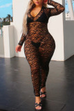 Black Fashion Sexy Solid See-through V Neck Long Sleeve Dresses