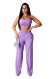 purple Polyester Fashion Sexy adult Patchwork Solid Two Piece Suits Straight Sleeveless Two Pieces