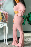 Pink Fashion Casual Solid Basic Turtleneck Long Sleeve Two Pieces