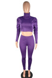 purple Casual Sportswear Polyester Solid Turtleneck Long Sleeve Pile Up Sleeves Regular Two Pieces