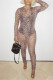 Leopard Print Fashion Sexy Print See-through O Neck Skinny Jumpsuits