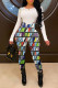 Multicolor Fashion Casual Print Basic O Neck Long Sleeve Two Pieces
