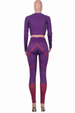 Purple Casual Solid Patchwork O Neck Long Sleeve Two Pieces