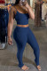 Royal Blue Sexy Solid pencil Sleeveless Two Pieces