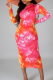 Colour Print Patchwork O Neck Pencil Skirt Dresses