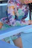 Colour Sexy Print See-through Mesh O Neck Wrapped Skirt Dresses