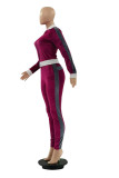 Purple Casual Print Zipper Collar Long Sleeve Two Pieces