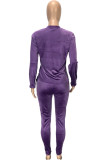 purple Fashion Pleuche Solid Split Joint O Neck Long Sleeve Regular Sleeve Regular Two Pieces