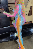 Colour Sexy Patchwork Hollowed Out O Neck Skinny Jumpsuits