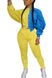Yellow Fashion Casual Adult Polyester Patchwork Solid Split Joint O Neck Long Sleeve Regular Sleeve Regular Two Pieces
