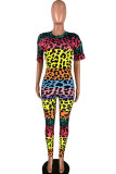 Powder blue Fashion Light Print Leopard grain Short Sleeve O Neck Jumpsuits