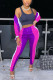 Purple Casual Print Patchwork Zipper Collar Long Sleeve Two Pieces