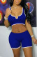 Blue Sexy Casual Solid Basic U Neck Sleeveless Two Pieces
