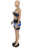 Blue Fashion Sexy Print Backless Halter Sleeveless Two Pieces