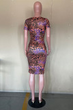 Multicolor Fashion Print Basic V Neck Short Sleeve Dress