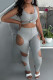 Grey Fashion Sexy Solid Hollowed Out U Neck Sleeveless Two Pieces