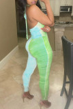 Turquoise Fashion Sexy Print Patchwork Backless Halter Skinny Jumpsuits