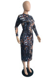 Multicolor Fashion Casual Print Basic O Neck Long Sleeve Dresses
