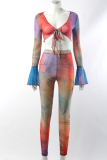 Multicolor Sexy Print Patchwork V Neck Long Sleeve Two Pieces
