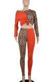 Black Casual Print Leopard Split Joint O Neck Long Sleeve Two Pieces
