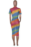 Colour Fashion Sexy Print See-through O Neck Short Sleeve Dress Dresses