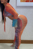 Multicolor Sexy Print Patchwork V Neck Long Sleeve Two Pieces