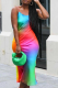 Multi-color Sexy Print Patchwork Spaghetti Strap Trumpet Mermaid Dresses