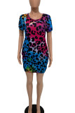 Leopard Print Casual Print Patchwork O Neck Straight Dresses